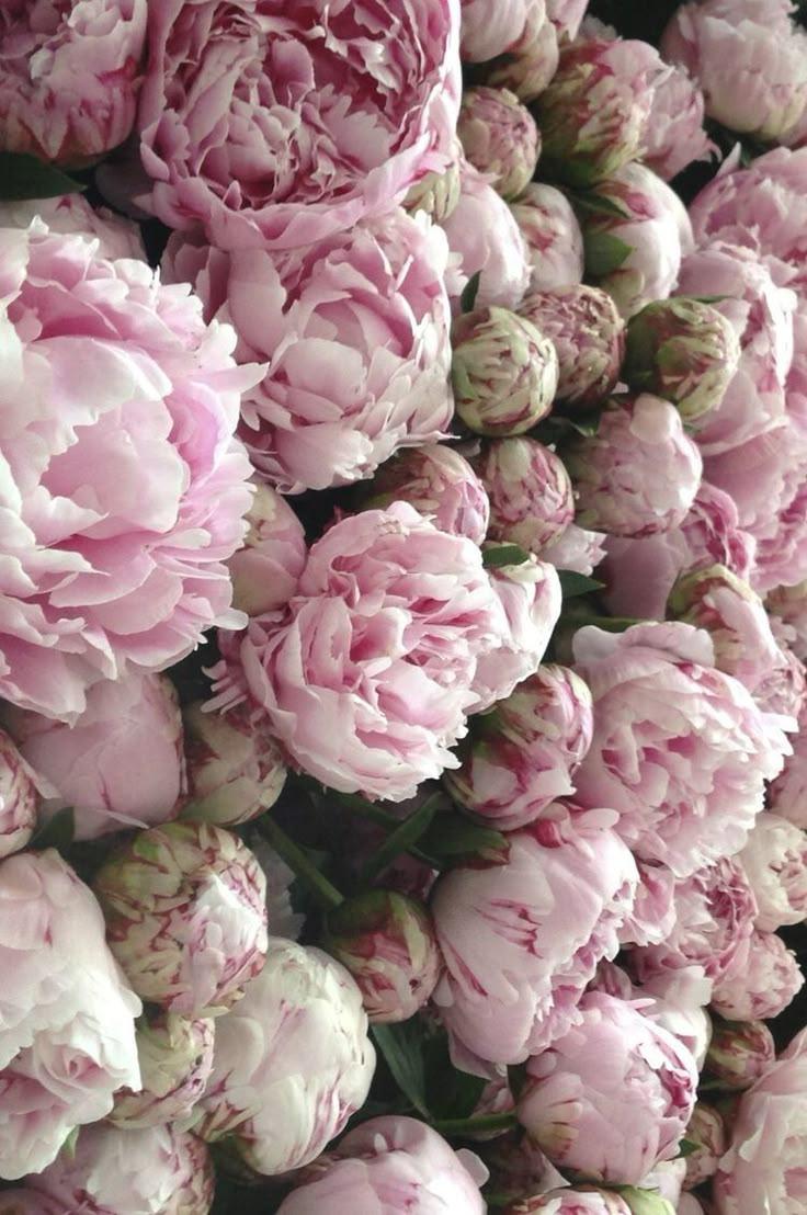 Radiant Growth Hub workshop space where corporate flower arrangements are designed and prepared for business delivery